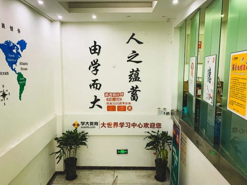 測評 | 藝考結束，文化課培訓機構怎么選？我們去看了這幾家